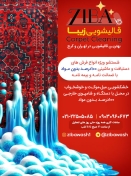 قالیشویی زیبا