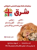 بیمارستان تخصصی دامپزشکی شرق