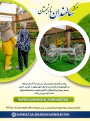 مرکز جامع سالمندان نارنجستان